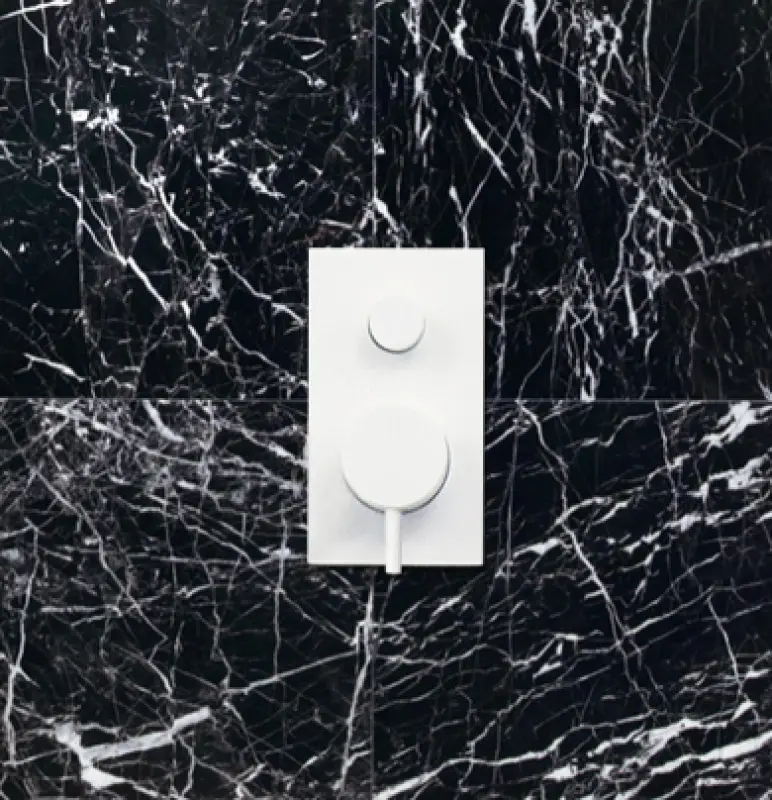 Waterevolution Flow inbyggd duschtermostat med 2 utlopp matt vit T132TBBBR med TEC box