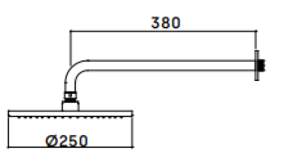 Waterevolution Flow huvuddusch 250 mm med vägganslutning matt svart T164125PR