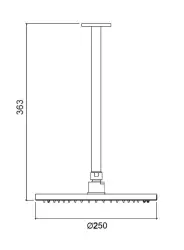 Waterevolution Flow takdusch 250 mm med takanslutning matt vit T164225BR
