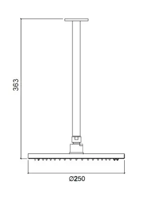 Waterevolution Flow huvuddusch 250 mm med takanslutning i borstat mässing T164225LE