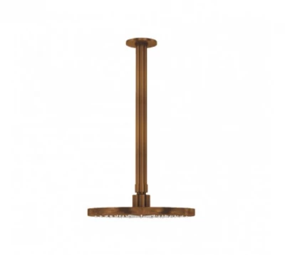 Waterevolution Flow huvuddusch 250 mm med takanslutning i borstat koppar T164225CPE