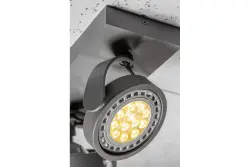 Dekor Wally taklampa eller vägglampa antracit med rörligt huvud 2 ljuskällor 4304