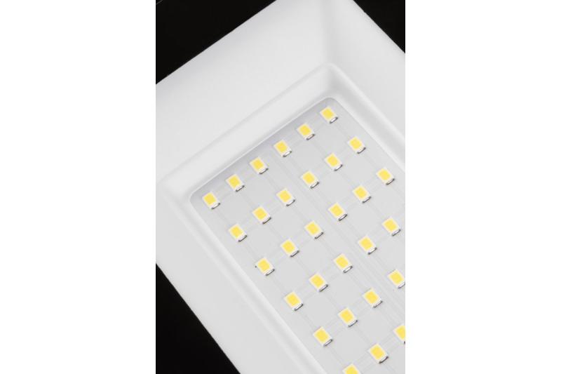 NELI Bärbar Strålkastare, LED, 30W, 2700lm, 6400K, AC220-240V, IP65, 1.5m kabel